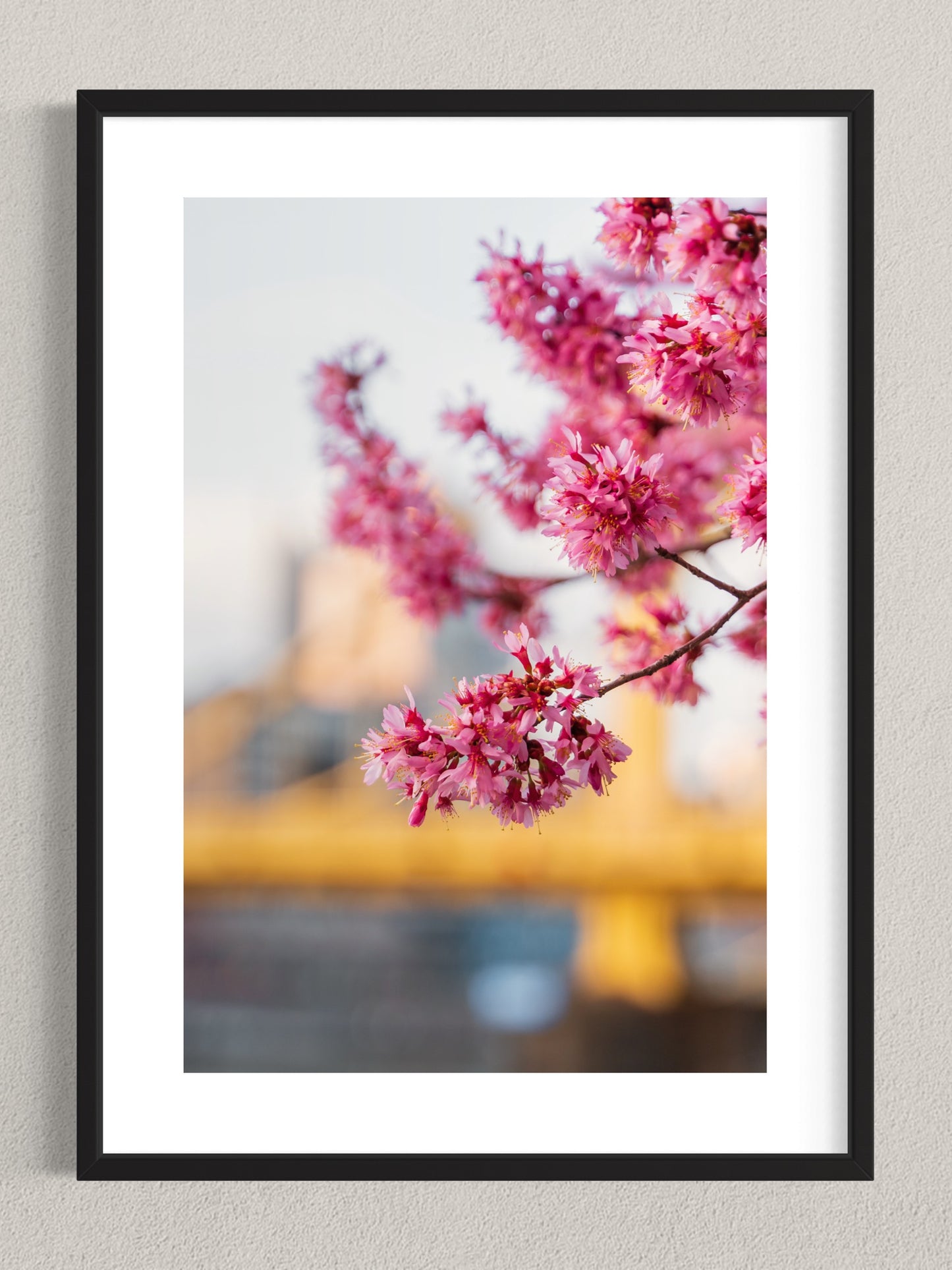 Spring Blooms