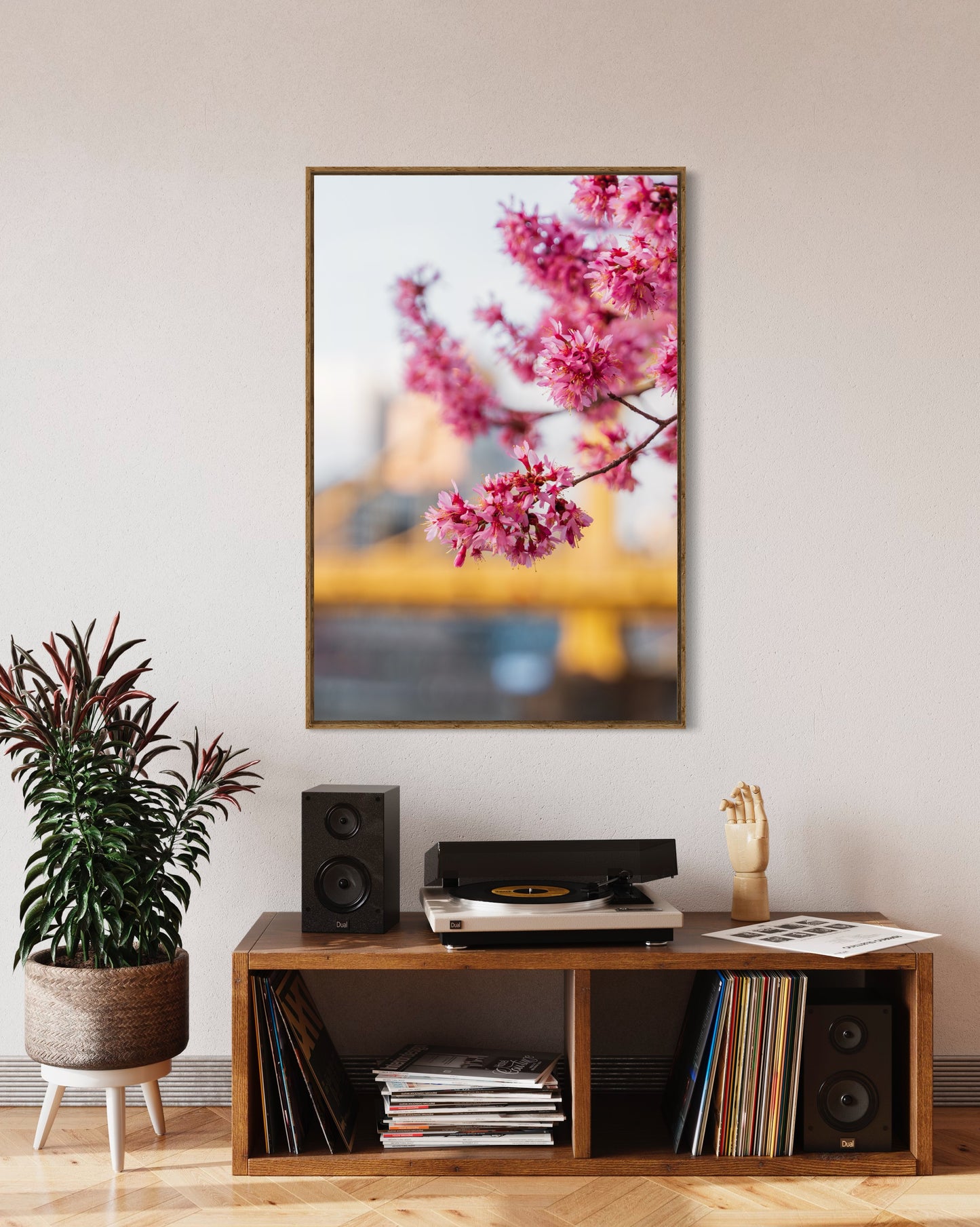 Spring Blooms