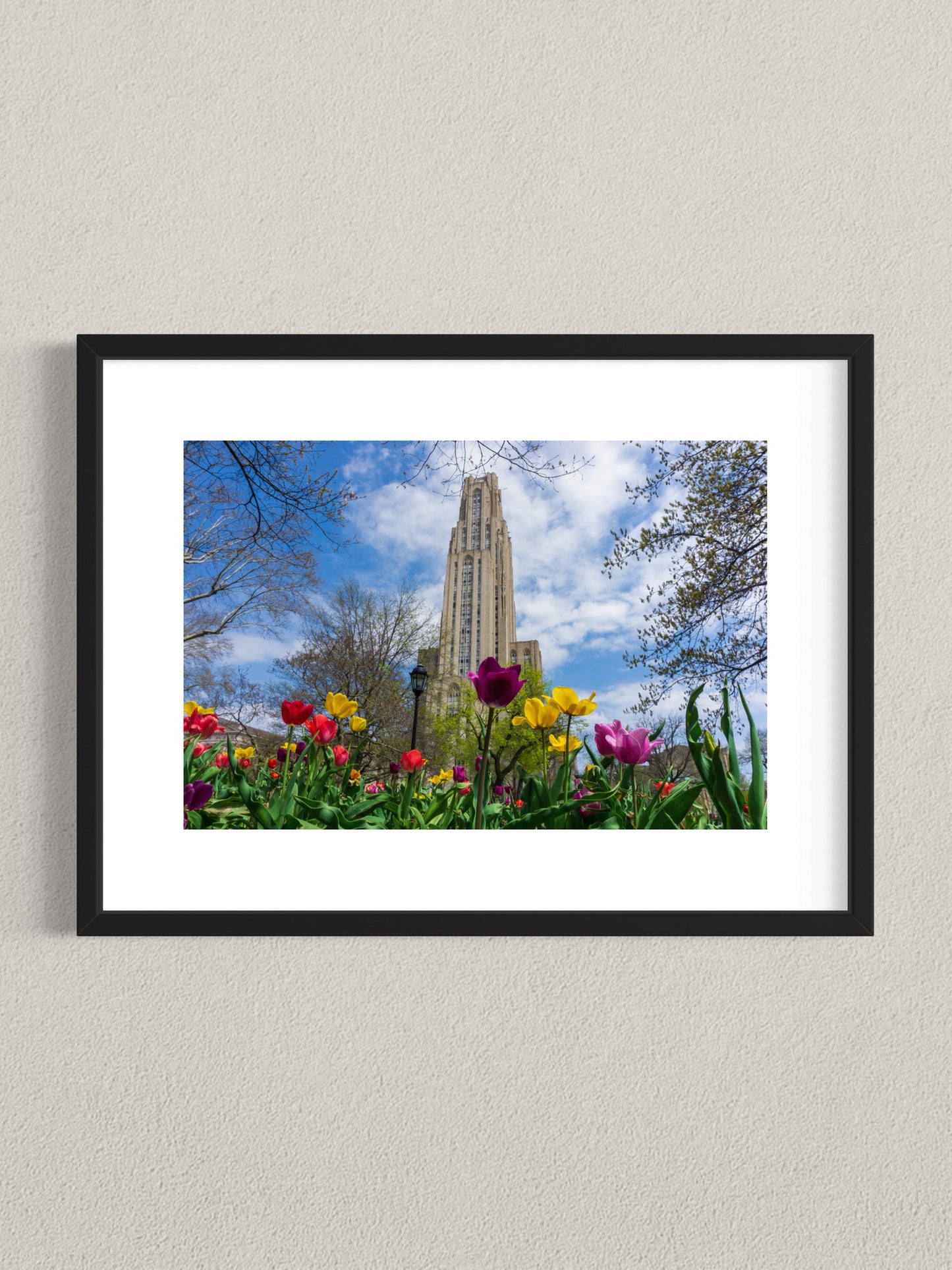 Springing Up