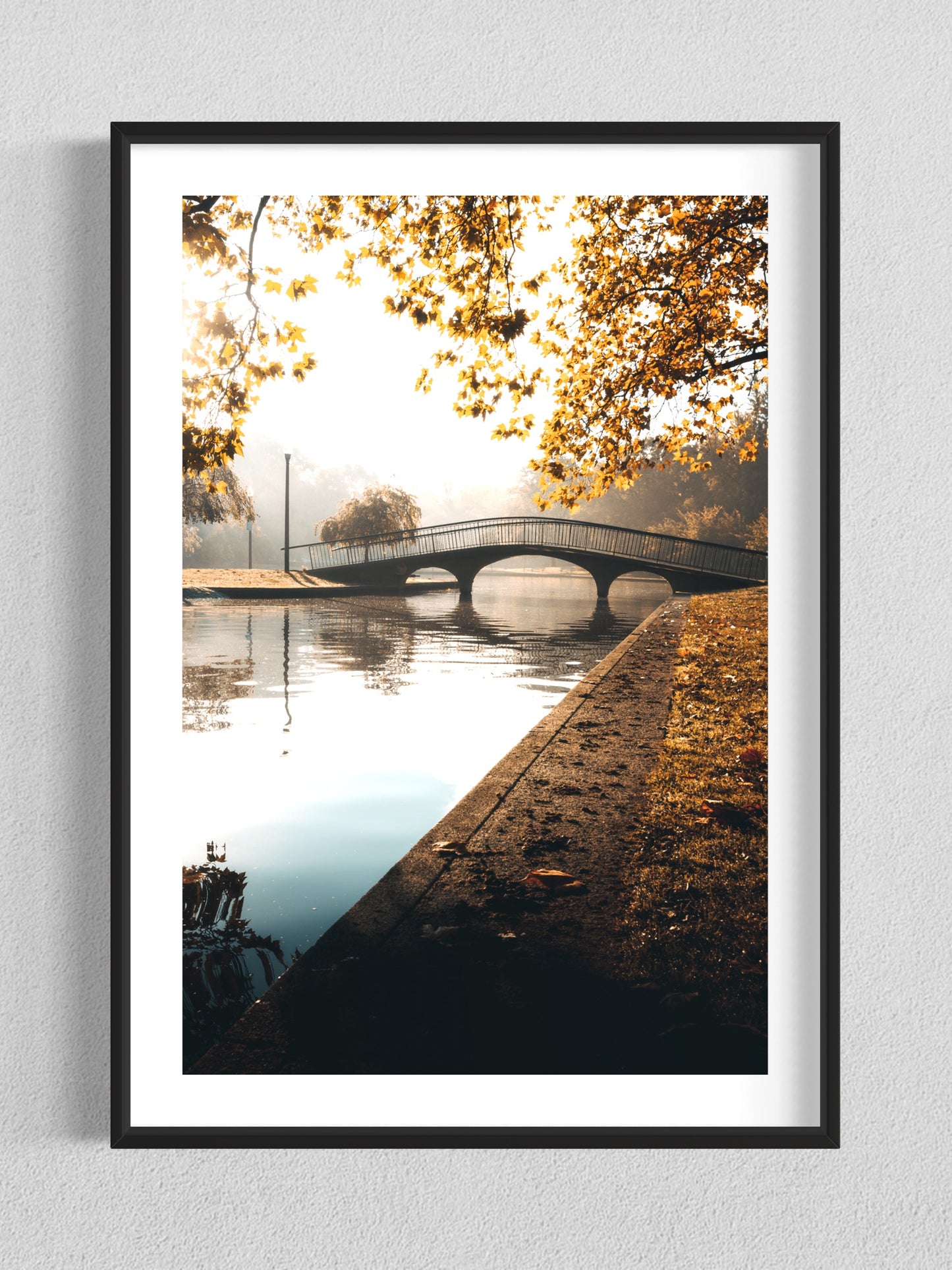 Peaceful Fall Morning