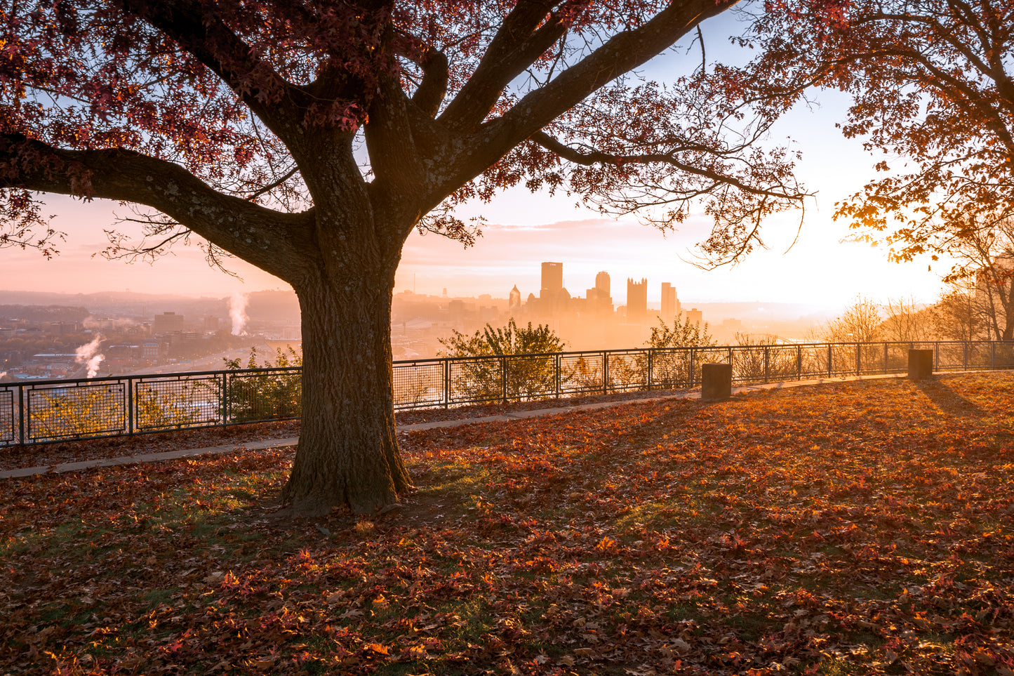Autumn Dream