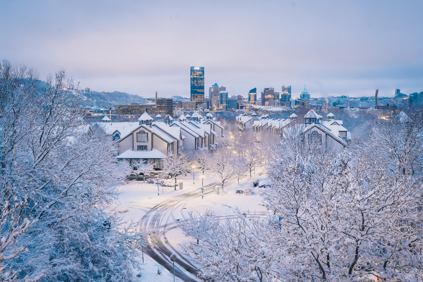 Winter Wonderland