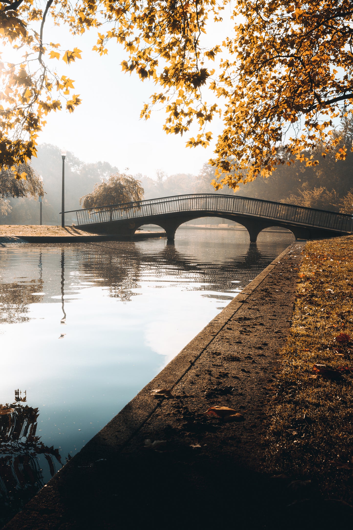 Peaceful Fall Morning