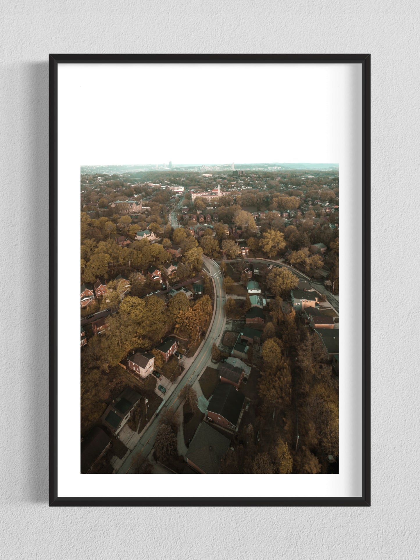 Squirrel Hill From Above