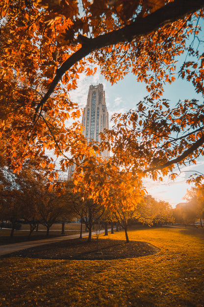 Cathedral of Learning